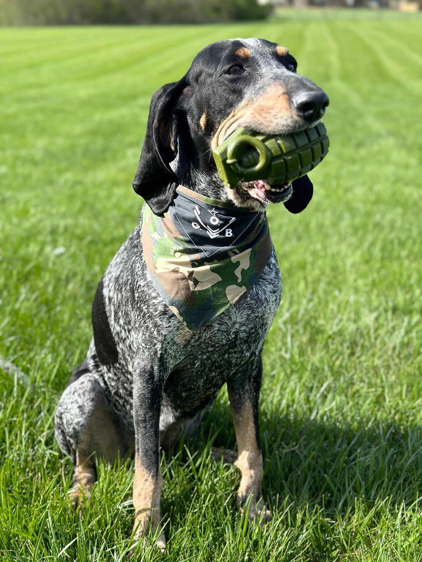 Grenade Dog Toy for Strong Chewers – OperationGoodBoy