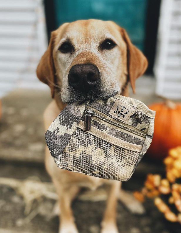 Tactical dog top treat pouch